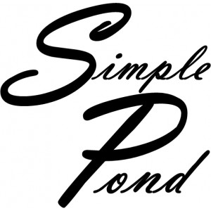 Simple Pond Icon