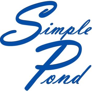 Simple Pond Icon