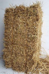 Barley Bale tall