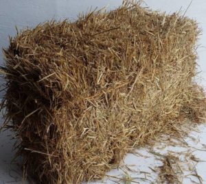 Full Sized Barley Bale