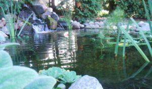 flat water falls