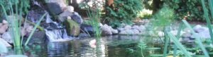 Waterfall Header